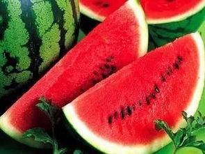 吃瓜人吃的什么瓜